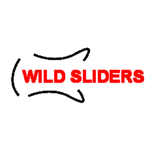 Wild Sliders’s avatar