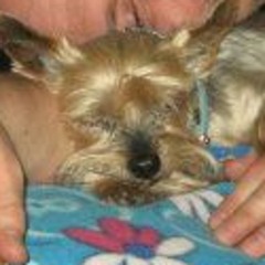 Chill Out Chart Fan Page