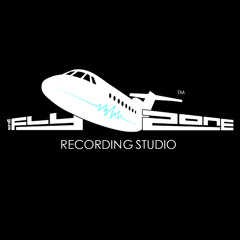 FlyzoneStudio