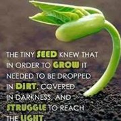 Monica Rose Williams