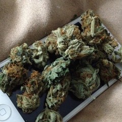 KINGTRUTH aka hosenxberg