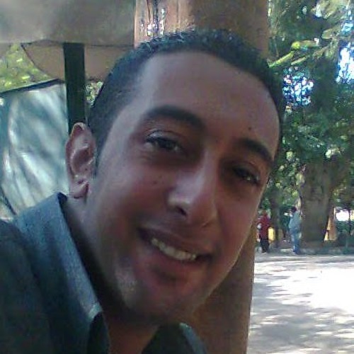 Alaa Elfaki’s avatar