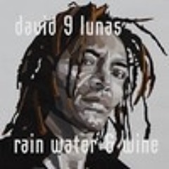 David9Lunas