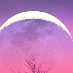 sugicucu