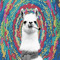 Trippy llama