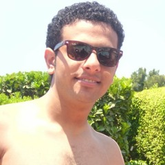 Ahmed Baset 2