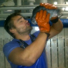 Cornelis van Duijvenbode