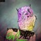 OwlStep