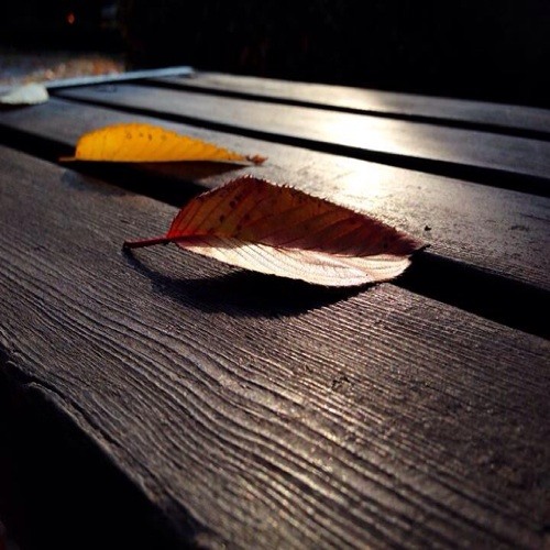 송정미 - 한걸음 한걸음