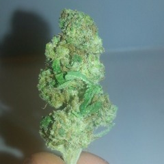 nuggie_420