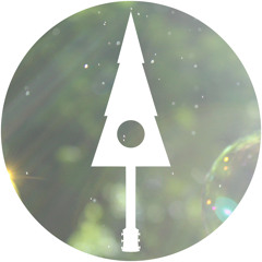 The Tall Tree Sessions