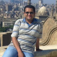 Mohammed Abd ElKarem Rady