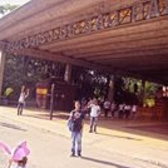 MarvinSousaFKFM