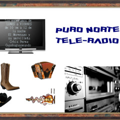 PURO NORTE-TELE RADIO