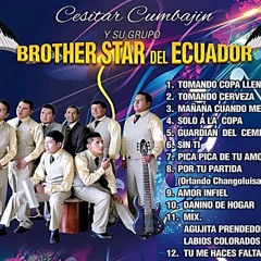 Brotherstar Ecuador