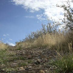 Beautiful Music Promotion