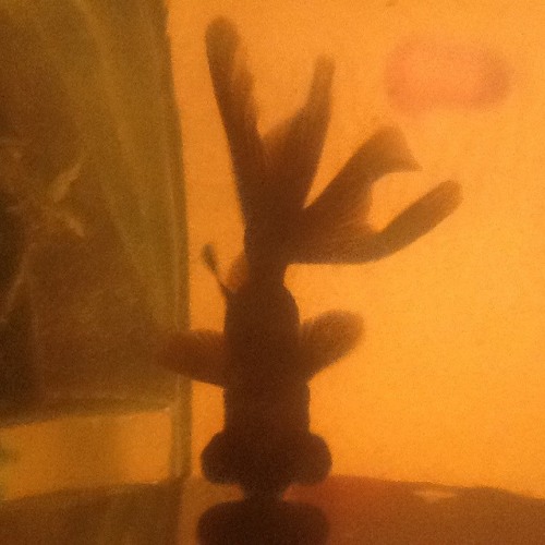 Calling Maria - 2016 - 05 - 16, 3.42 PM