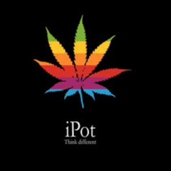 Rasta_275