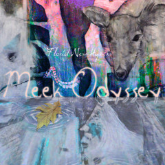 Meek Odyssey
