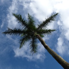 Yet Another Spring Street Jam (2017-02-03)