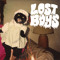 LostBoysMI
