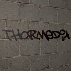 ThorMediaEstudio