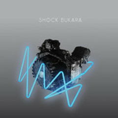shockbukara