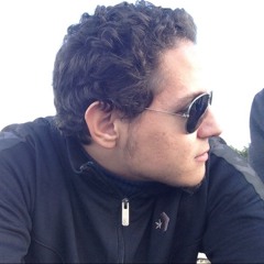Ayman Yehia Zakaria