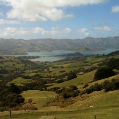 Michael Anderson 191