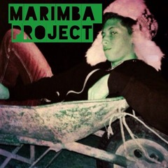Marimba Project