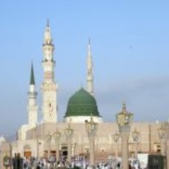 Shereen Helmy
