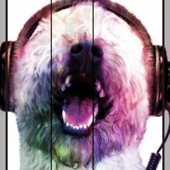 DogManic Productions