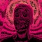 moeysbounce