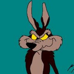 MrKoiot