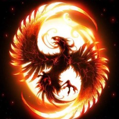 Dark Hawc