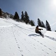 Christian Steinleitner