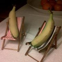 Renier Van Jaarsveld