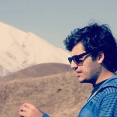 ali mizani
