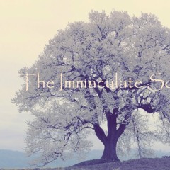 XIX Immaculate Sounds