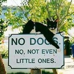 Violaine Hřebíčkova