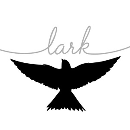iLarki’s avatar