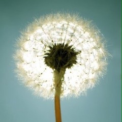 Bianca Rene Bizzozero