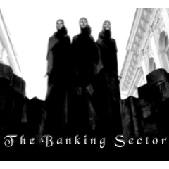 The Banking Sector