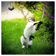 I`m Just here to listen