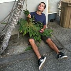 funkyflower