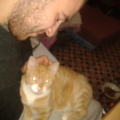 miley cyrus's wercking ball cover