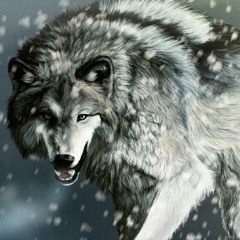 rising_wolf123