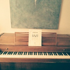 Lindsey Ziegelgruber