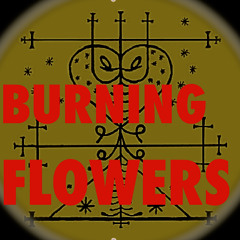 Burning Flowers