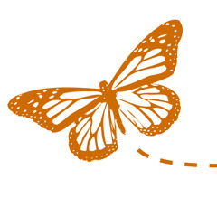 Christine P. Morrice